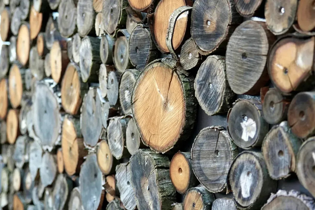 Best Types of Wood for Furniture for durability and long-lasting use